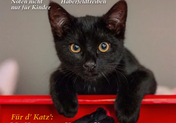 Zeitschrift ZWIEFACH (Heft 2/2021) – Mercan Fröhlich